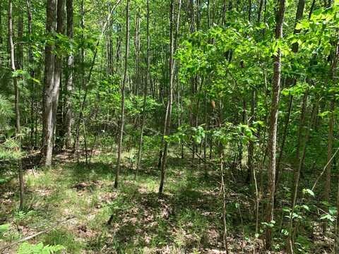 Lot 44 NORWAY PINE TR, Tomahawk, WI 54487