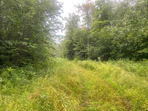 Near TIMBER RD, Catawba, WI 54515