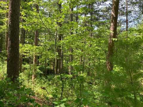 Lot 43 NORWAY PINE TR, Tomahawk, WI 54487