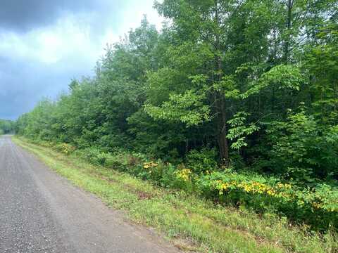 On BEAR LAKE RD, Butternut, WI 54514