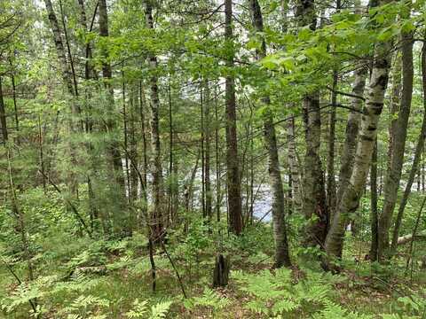 Lot 7 SOMO DAM DR, Tomahawk, WI 54487