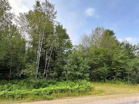 20 Ac On CTH C, Rhinelander, WI 54501