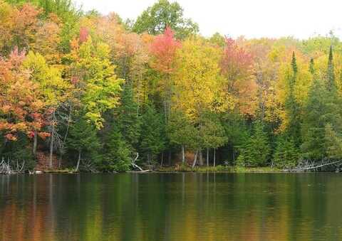 Lot 1 GAYLORD LAKE RD, Marenisco, MI 49947