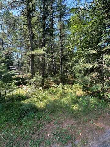 000 DEERWOOD RD, Minocqua, WI 54548