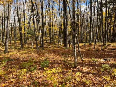 Lot 26 BLACK FOREST RD, Presque Isle, WI 54557