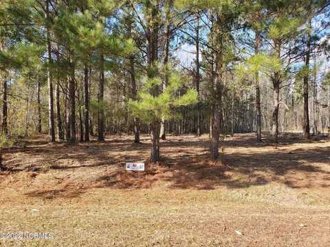 Lot 36 Eagle Trace Drive, Blounts Creek, NC 27814