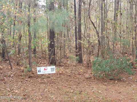 Lot 65 Eagle Trace Drive, Blounts Creek, NC 27814