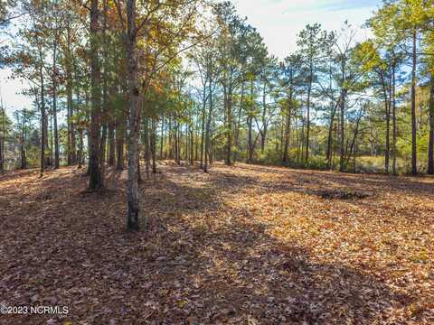 65 Tarpon Pointe Road, Bath, NC 27808