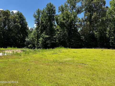 6323 Brassie Drive, Grifton, NC 28530