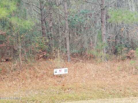 Lot 38 Eagle Trace Drive, Blounts Creek, NC 27814