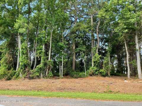 1962 Brookstone Drive, La Grange, NC 28551