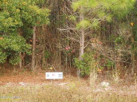 Lot 77 Eagle Nest Trail, Blounts Creek, NC 27814