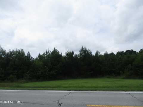 000 Highway 258 S, Deep Run, NC 28525