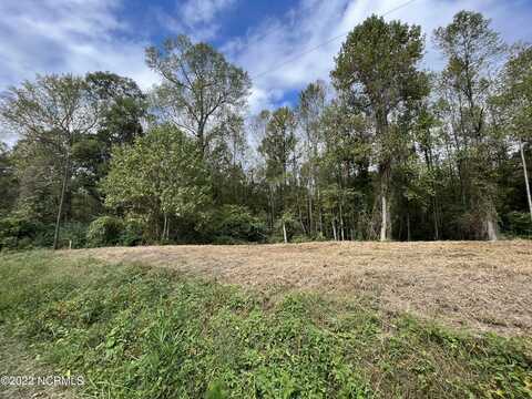Lot A Tyree Road, Kinston, NC 28504