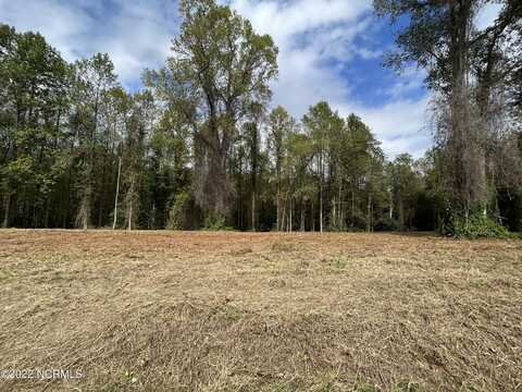 Lot B Tyree Road, Kinston, NC 28504