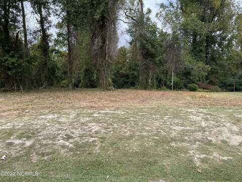 Lot D Tyree Road, Kinston, NC 28504