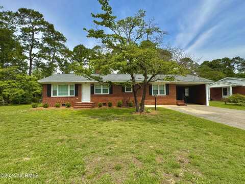 304 Hines Street, Snow Hill, NC 28580