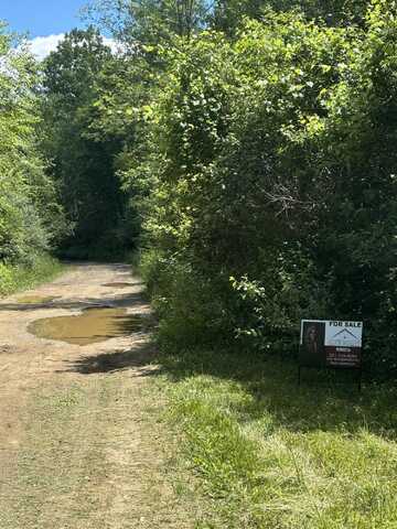 Vl Chippewa Trail, Cass City, MI 48726