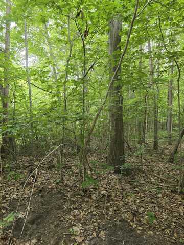 Lot D 64th Street, Holland, MI 49423