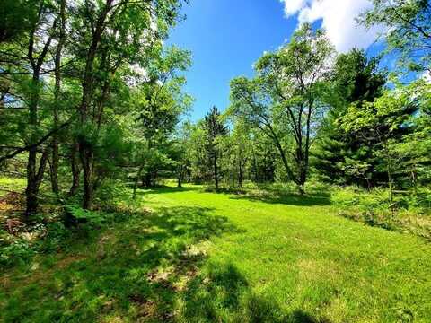 0 Creamery Road, Kaleva, MI 49645