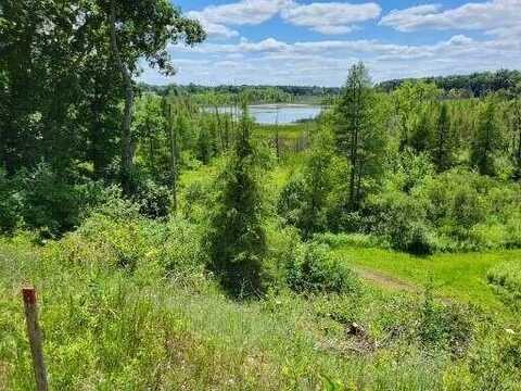 5464 Clear Lake Road, Grass Lake, MI 49240