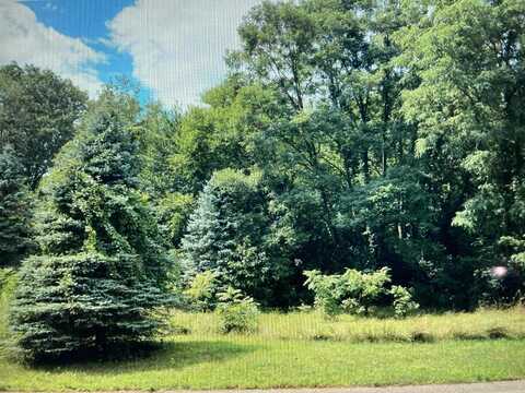 16765 Stoney Creek Court, Augusta, MI 49012