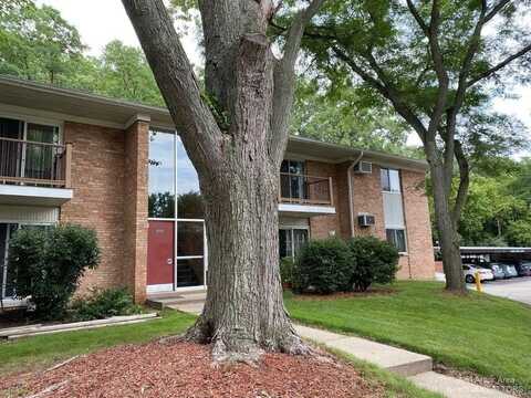 1253 Island Drive, Ann Arbor, MI 48105