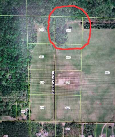 Lot 16 S Sullivan Lane, Croton, MI 49337