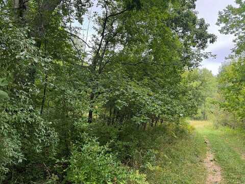 Pawnee Trail, Evart, MI 49631