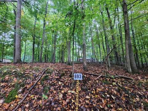 9845 Lost Canyon Drive, Stanwood, MI 49346