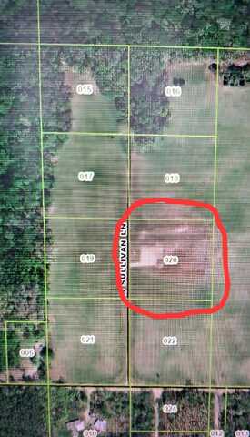 Lot 20 S Sullivan Lane, Croton, MI 49337