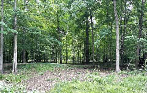 Lot 184 S E Shore Drive, Stanton, MI 48888