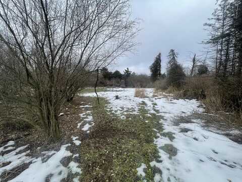 V/L 10a E Townline Road, Free Soil, MI 49411