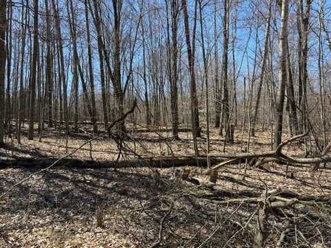 12349 Wagon Wheel Trail, Canadian Lakes, MI 49346