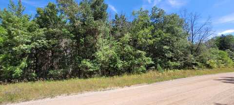 V/L Pine Hill, White Cloud, MI 49349