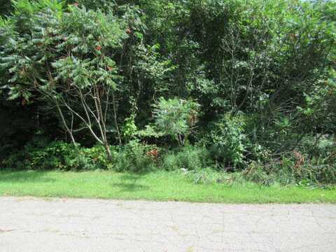 Tract 3 Deep Woods Drive, Cassopolis, MI 49031