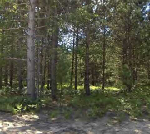 Bergstrom Drive, Kaleva, MI 49645