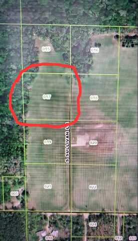 Lot 17 S Sullivan Lane, Croton, MI 49337