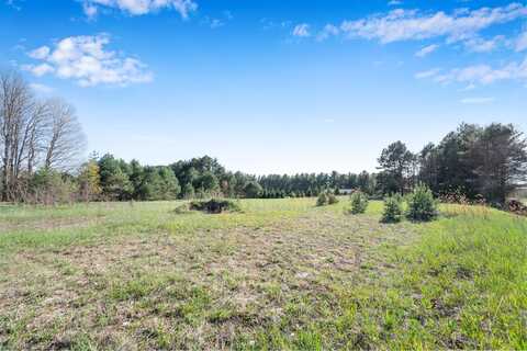 V/L 30 Rd, Cadillac, MI 49601