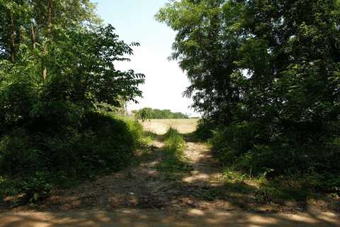 V/L Mann Road, Hickory Corners, MI 49060