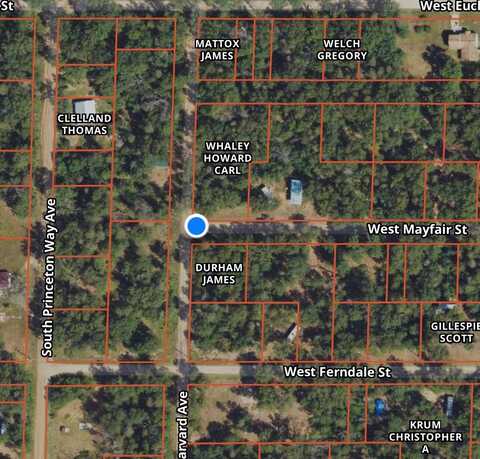 2693 W Mayfair Street, Baldwin, MI 49304