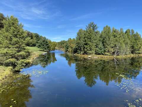 9220 Ranger Drive, Canadian Lakes, MI 49346