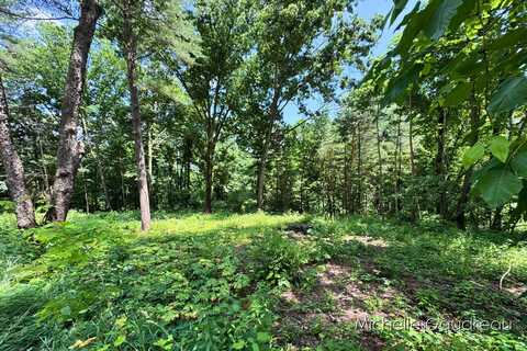 Vl W Irving Road, Hastings, MI 49058