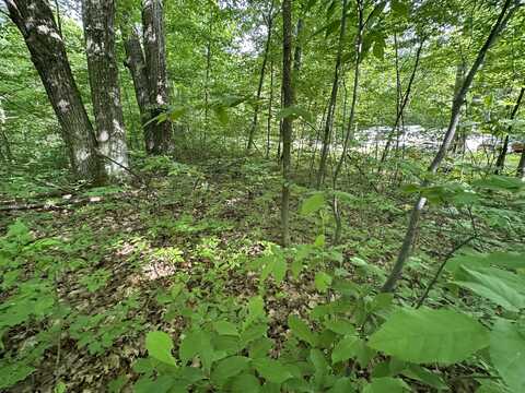 Lot 14 M-37 Highway, Cadillac, MI 49601