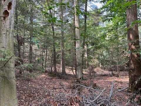 Lot 7 Bix Trail, Montague, MI 49437