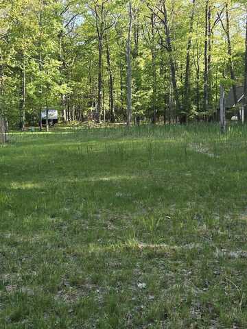 Lot 4,5,16 RIDGE ROAD, Mears, MI 49436