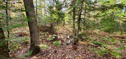 Tbd Merwin Creek Rd, Manistique, MI 49854