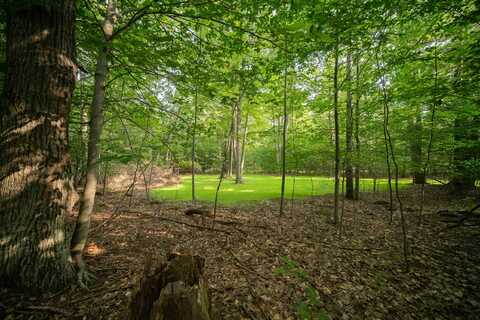 Emerald Ridge Trail, Onekama, MI 49675