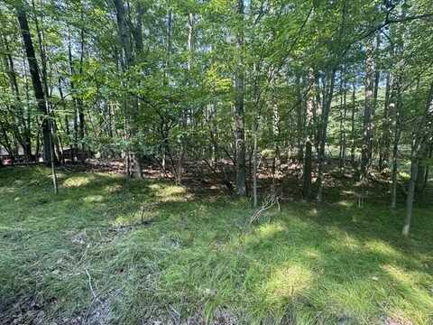 Tbd Timberlane Drive, Canadian Lakes, MI 49346