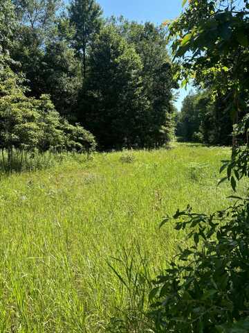 Tbd Felch and W Country Trail, White Cloud, MI 49349